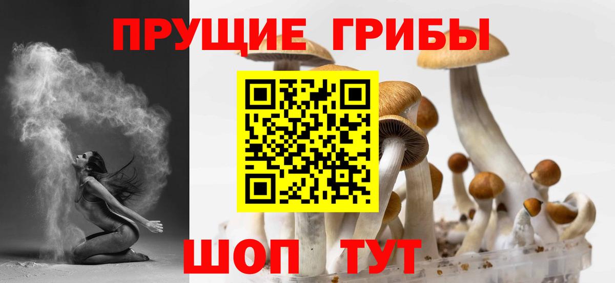 Прокопьевск  Псилоцибиновые грибы прущие грибы  Вход с VPN 