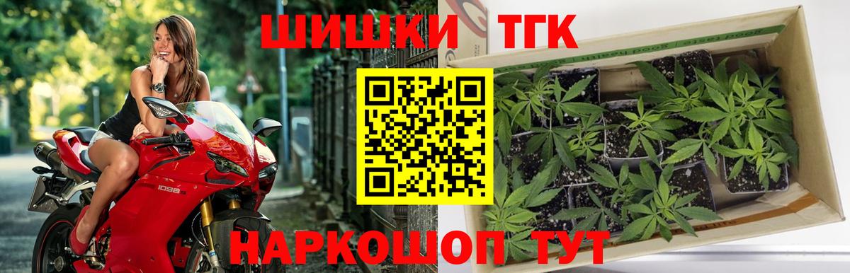 Конопля OG Kush Прокопьевск
